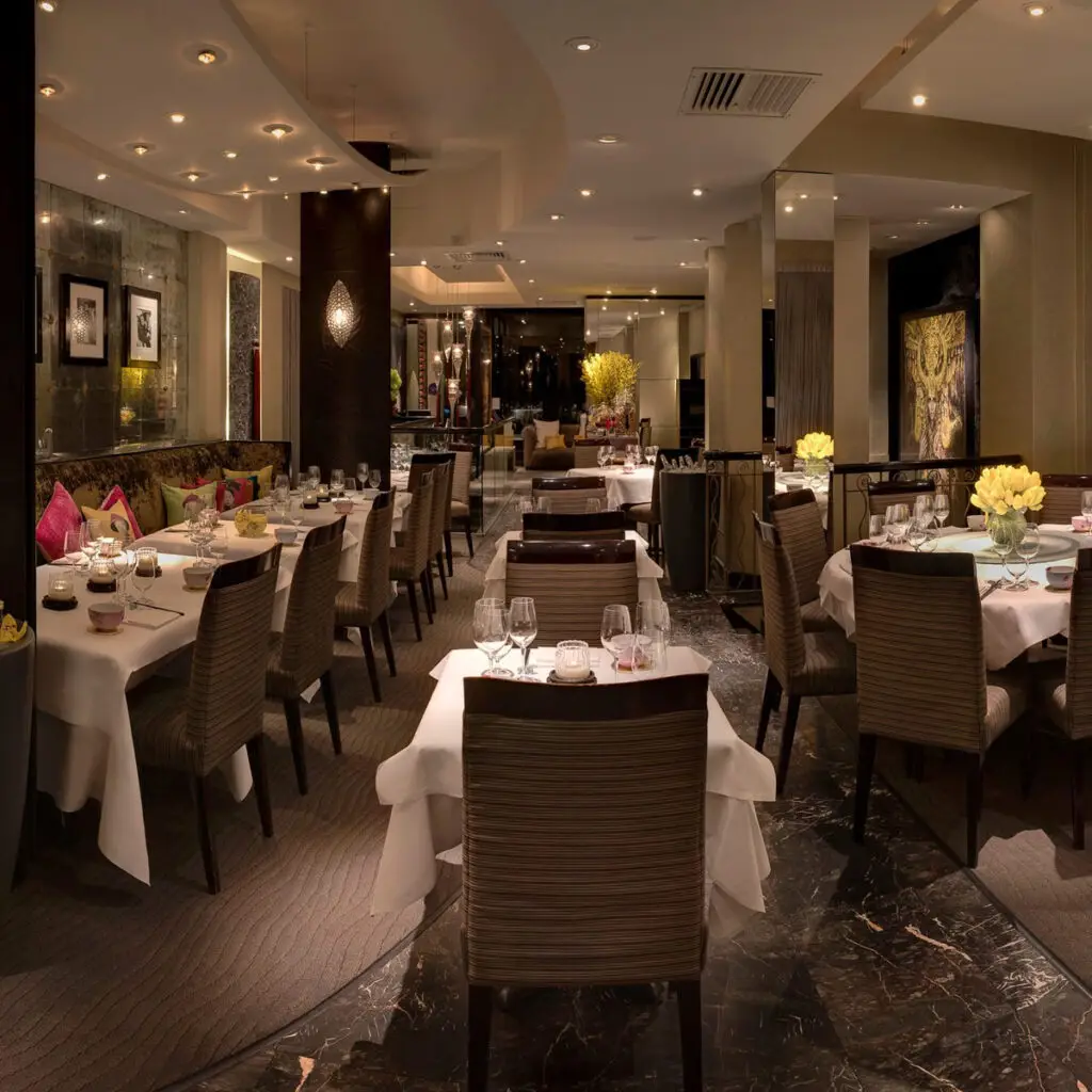 Explore Mayfair's top Chinese restaurants offering authentic and luxurious culinary experiences.