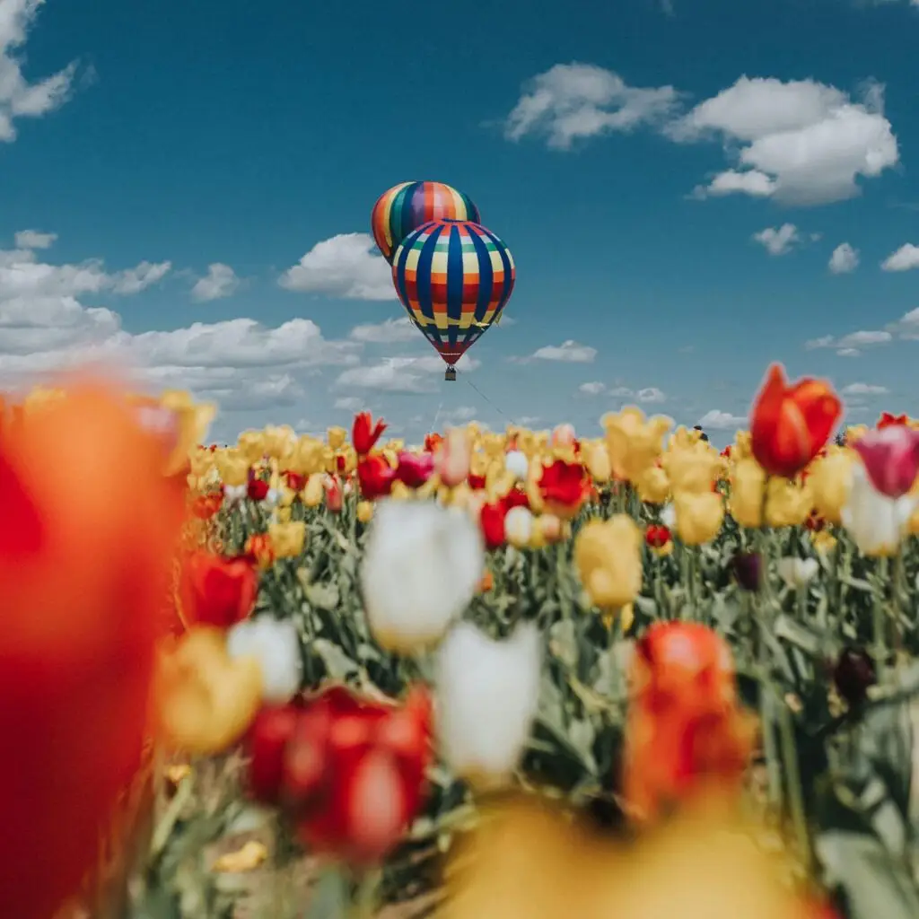 Flowers and balloon