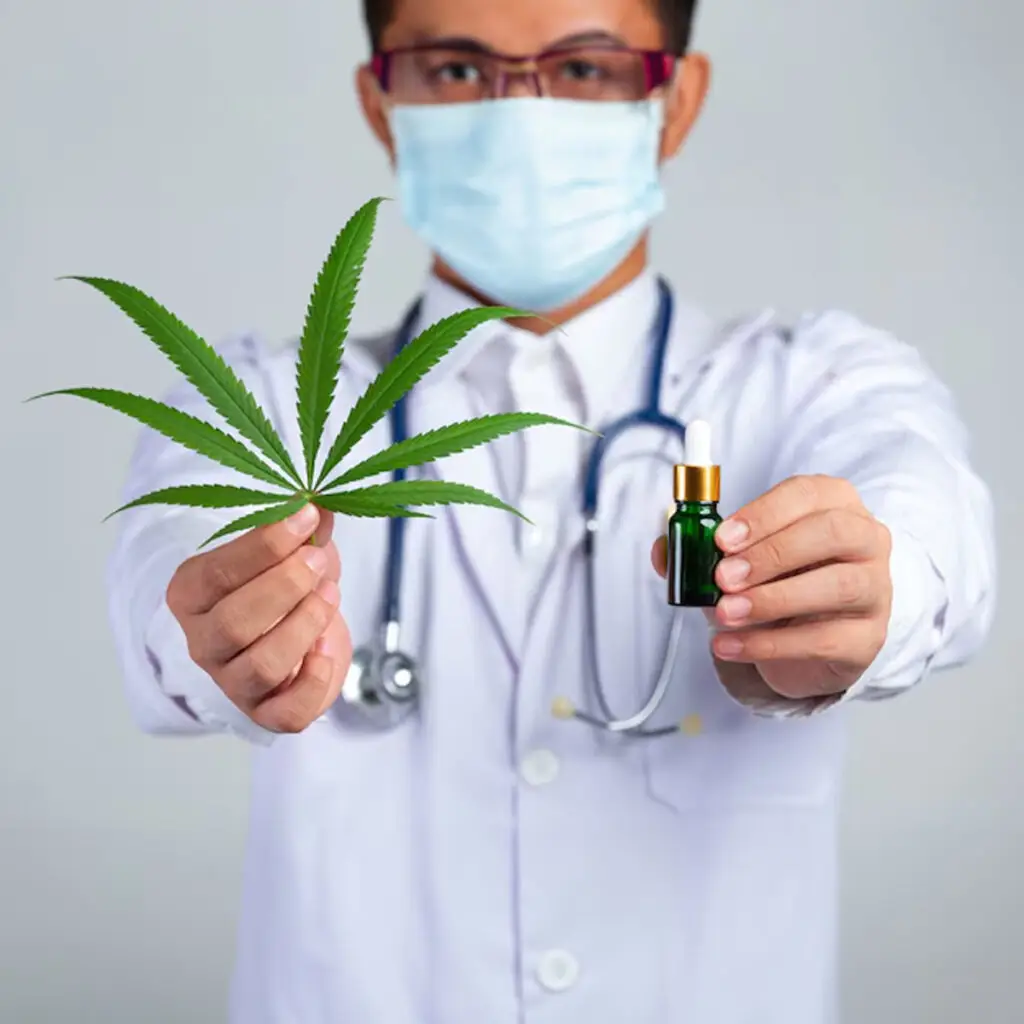 Mayfair Pharmacies in Providing Medical Cannabis